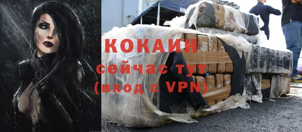 сатива Сафоново