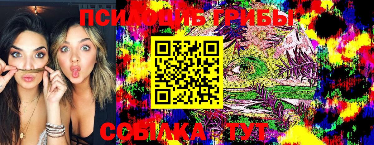 Губаха  Псилоцибиновые грибы Cubensis  Вход с VPN 