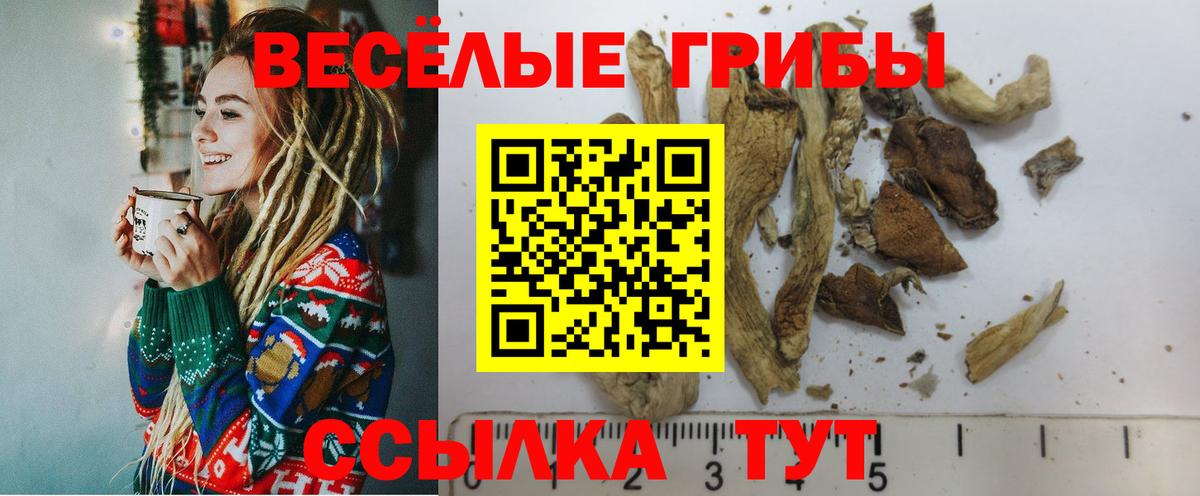 Галлюциногенные грибы ЛСД Губаха